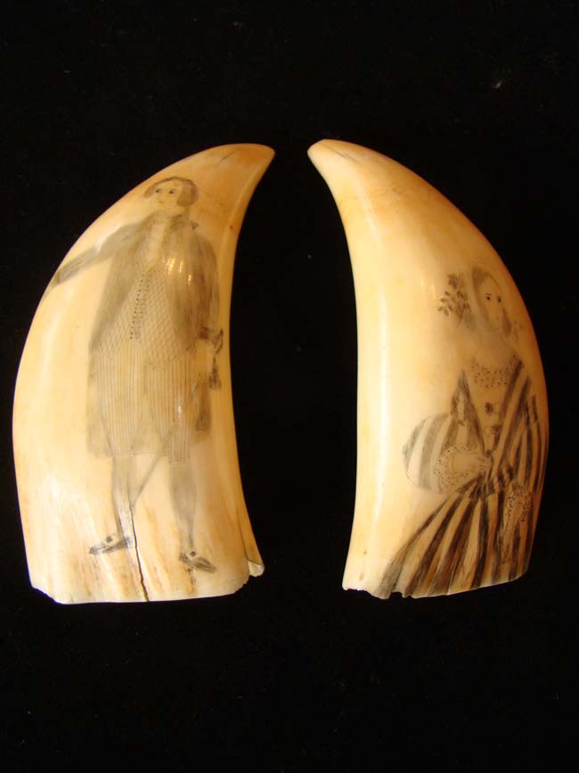 A beautiful pair of 19th century scrimshawed whale's teeth — image 9